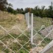 Postavljeno pocinkovano pletivo između stubova – žičana ograda za ograđivanje većih površina