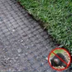 Slika Mreža za krtice
