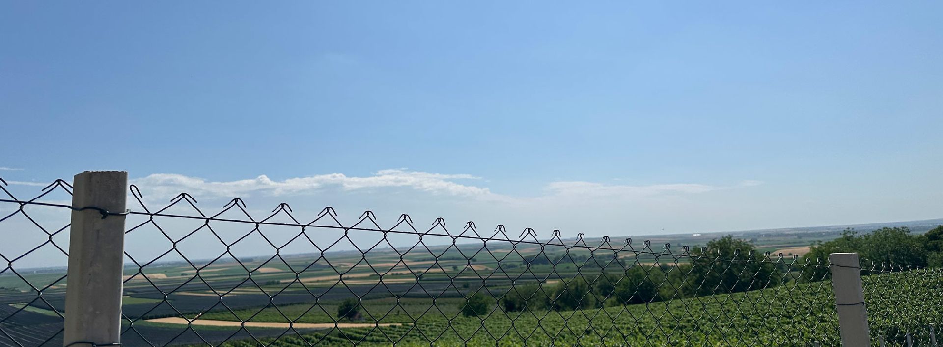 Pozadinska slika